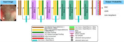 Automatic classification of gastric lesions in gastroscopic images using a lightweight deep learning model with attention mechanism and cost-sensitive learning